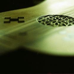 Ein Achtel Lorbeerblatt