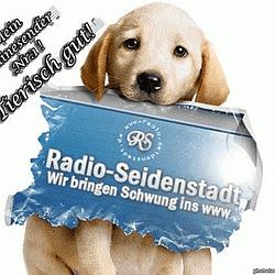 Radio Seidenstadt