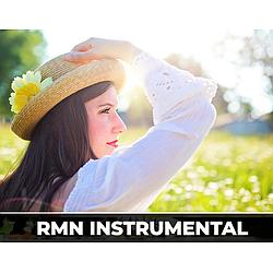 RMNradio - Instrumentalhits